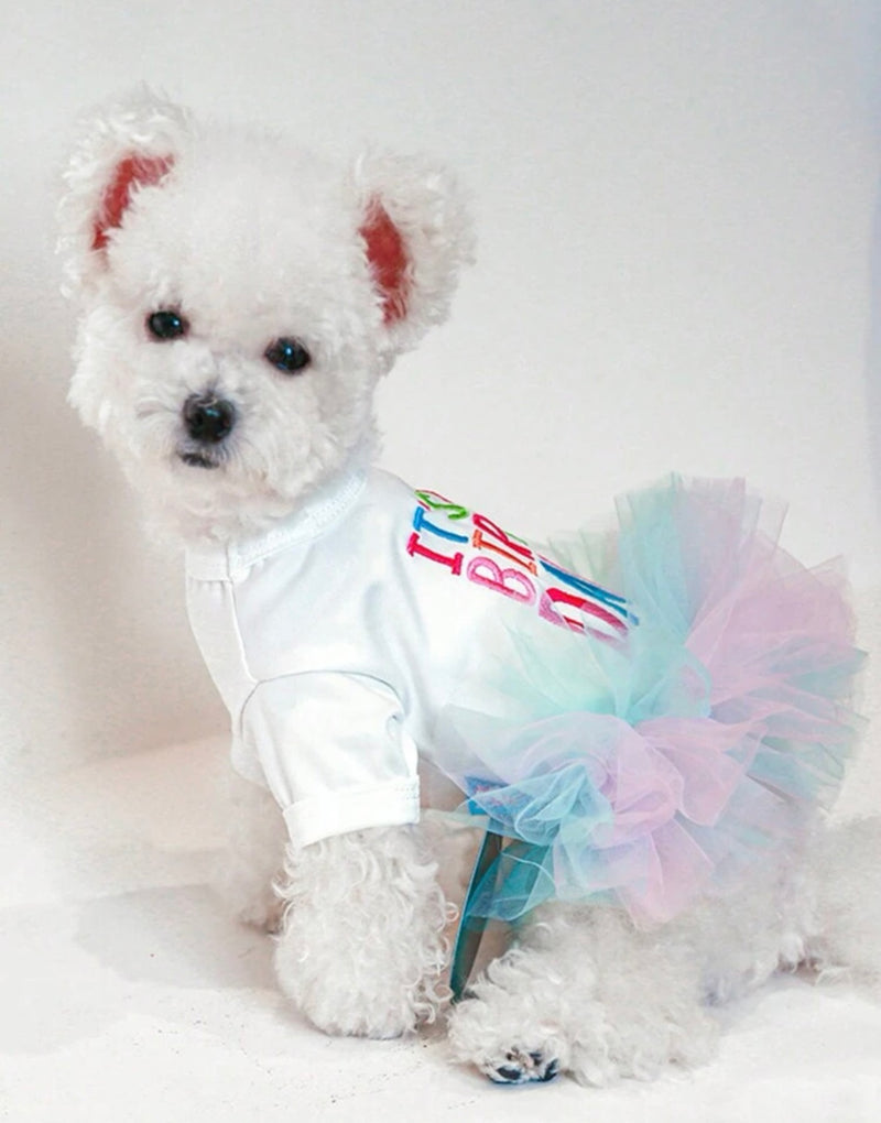 Vestido Tutu para fiesta de Cumpleaños