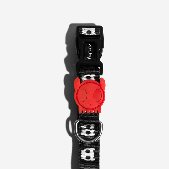 ZEEDOG COLLAR SKULL