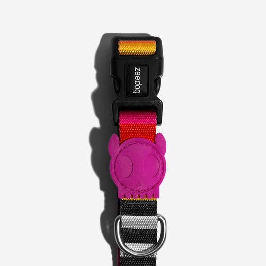 ZEEDOG COLLAR PRISMA